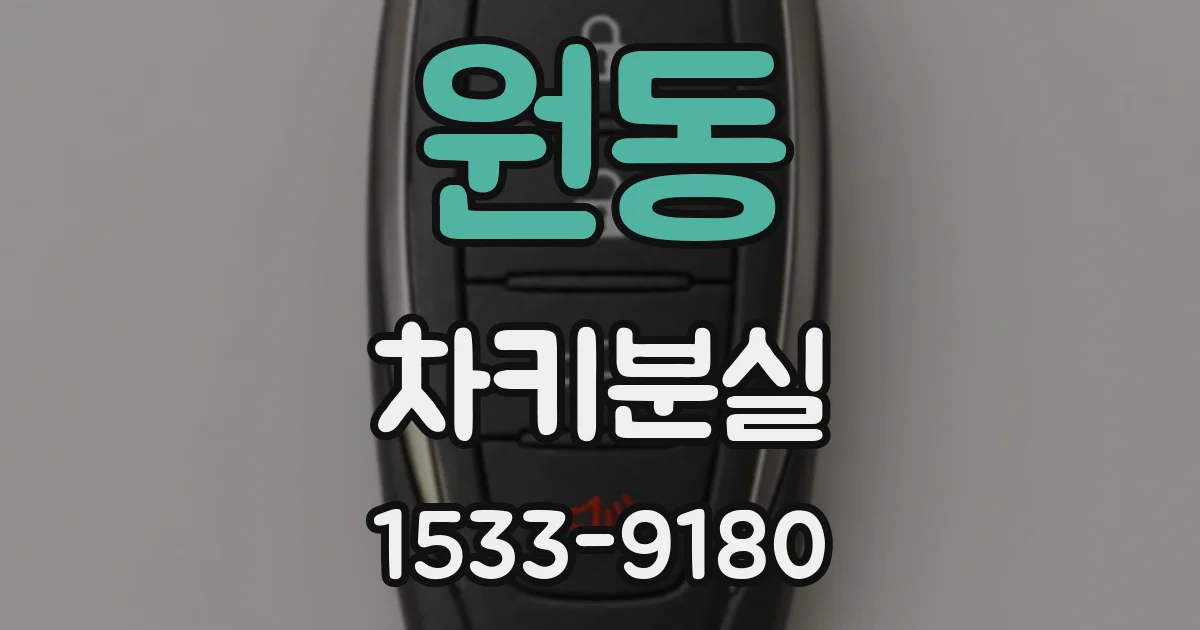 원동 차키분실