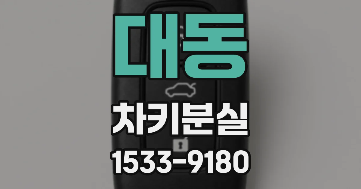 대동 차키분실