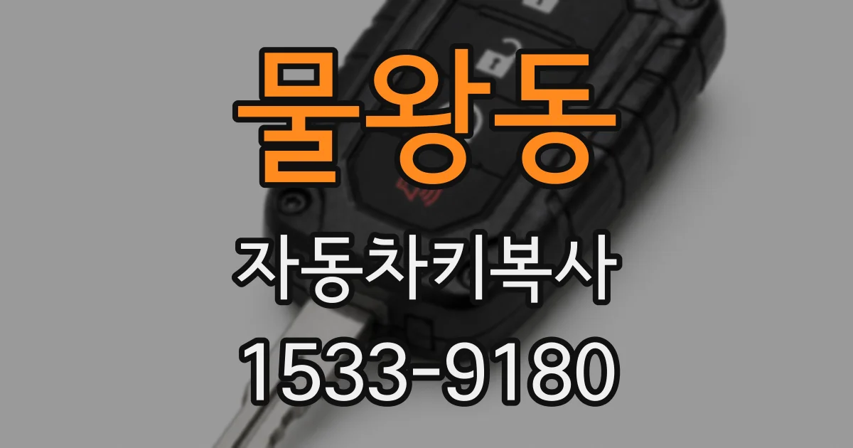 물왕동 자동차키복사
