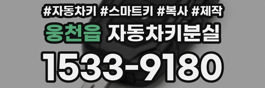 웅천읍 자동차키분실