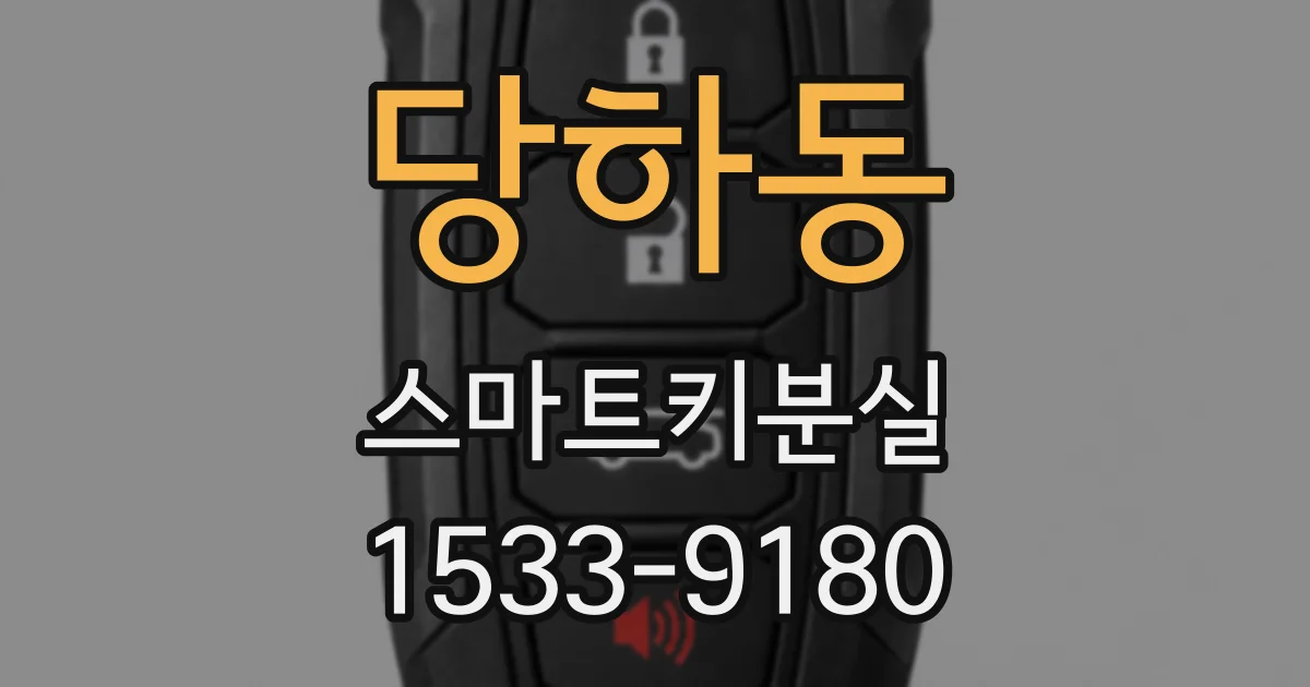 당하동 스마트키분실
