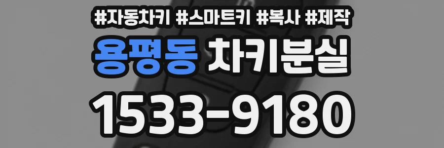 용평동 차키분실