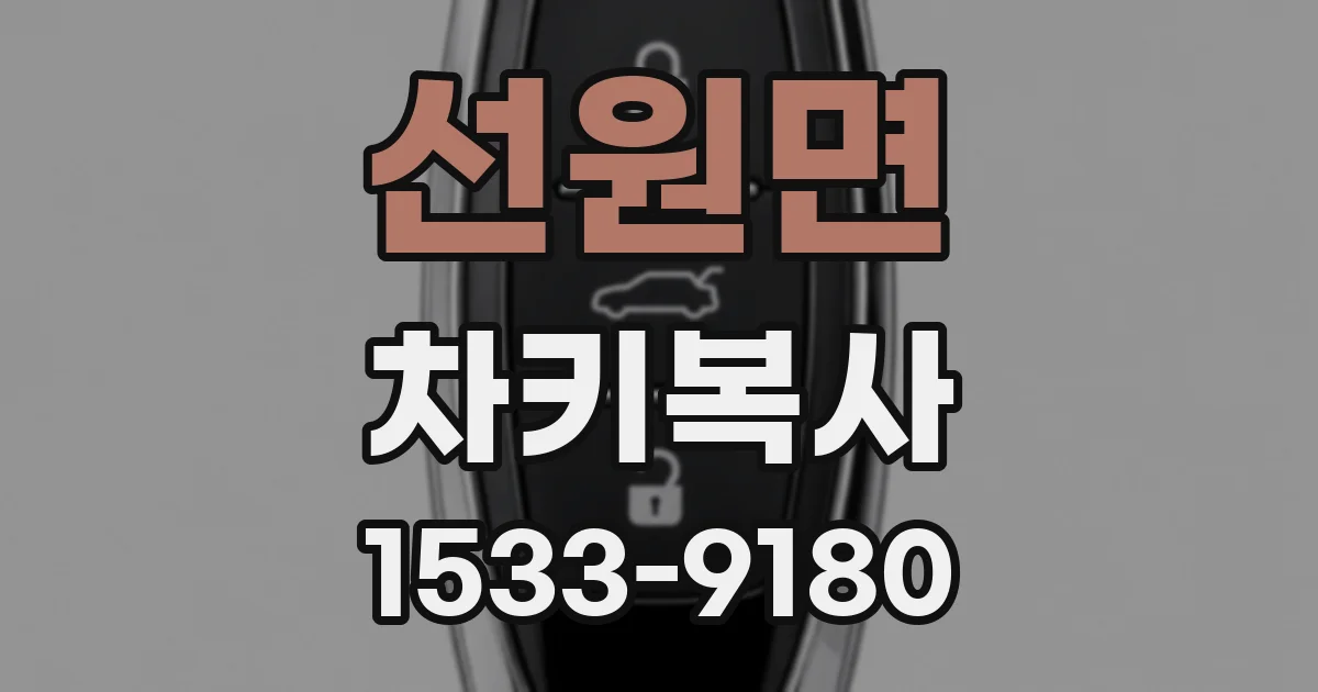 선원면 차키복사