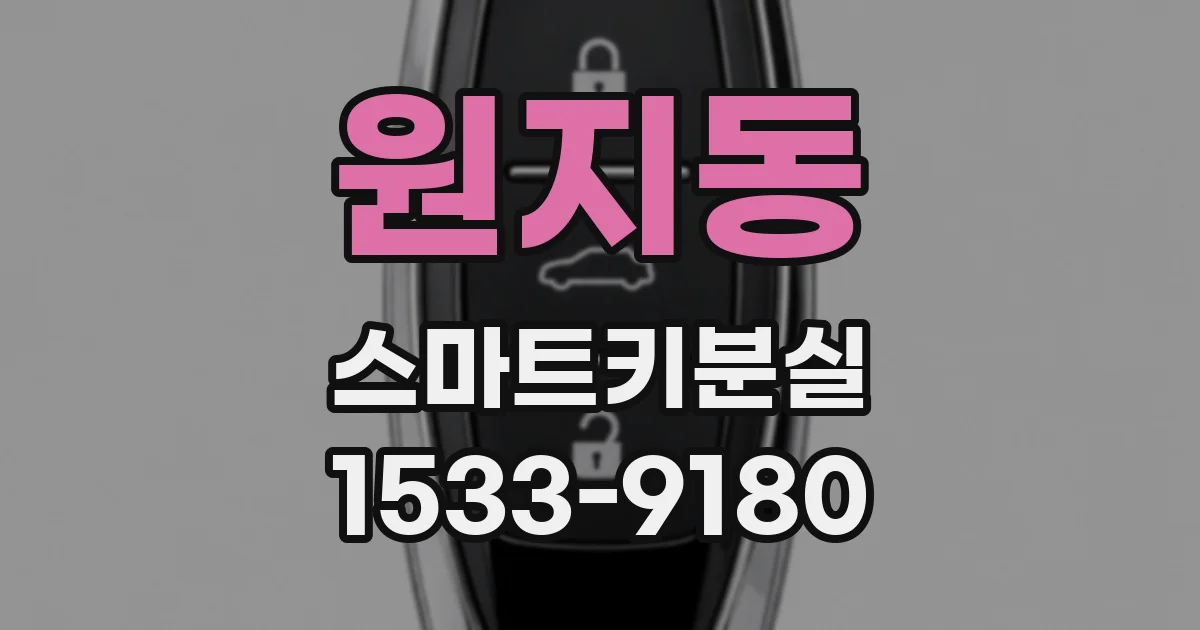 원지동 스마트키분실