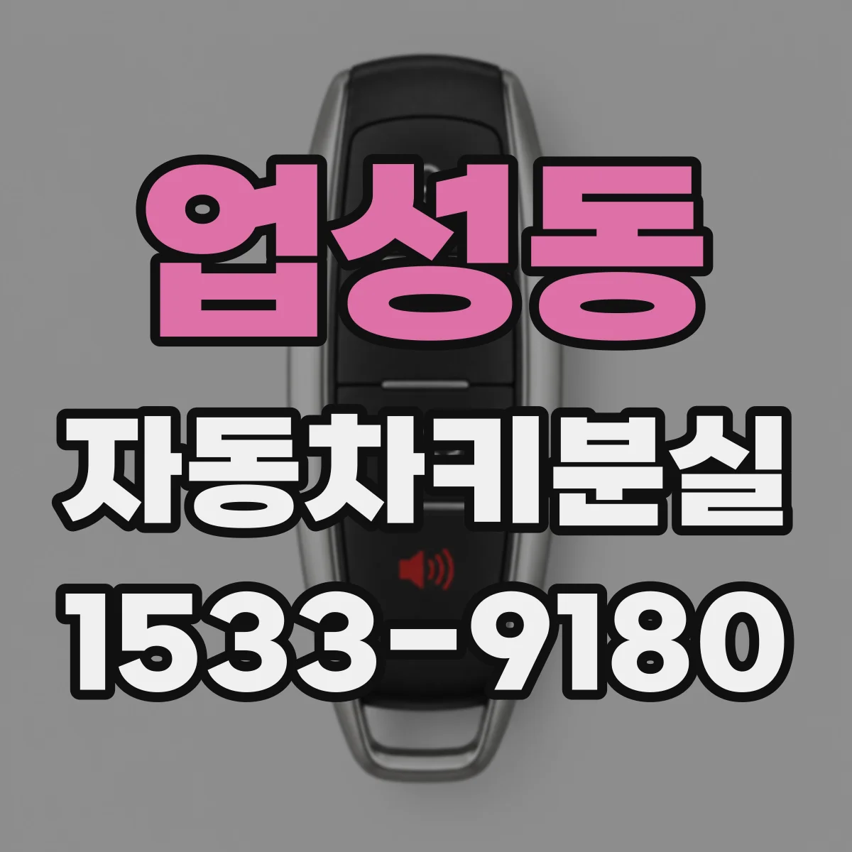 업성동 자동차키분실