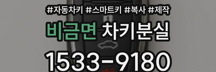 비금면 차키분실