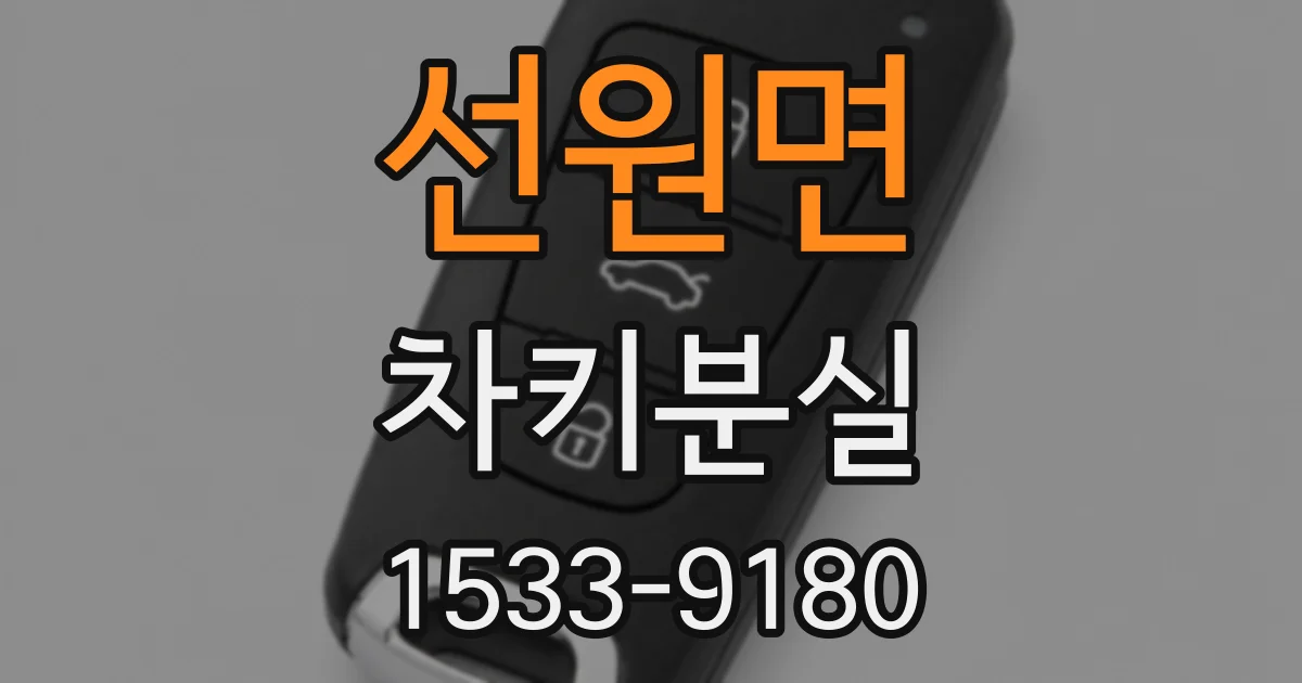 선원면 차키분실
