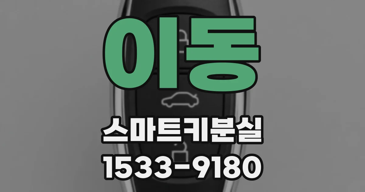 이동 스마트키분실