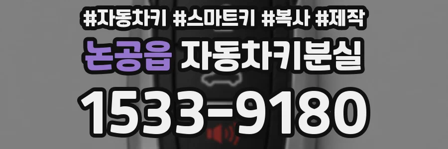 논공읍 자동차키분실