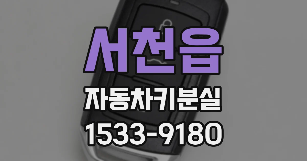 서천읍 자동차키분실