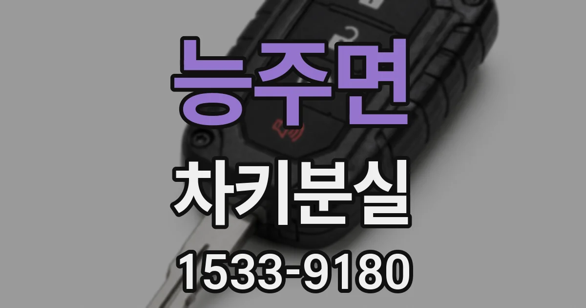 능주면 차키분실