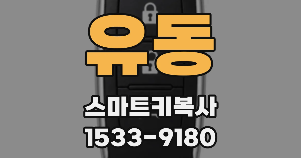 유동 스마트키복사