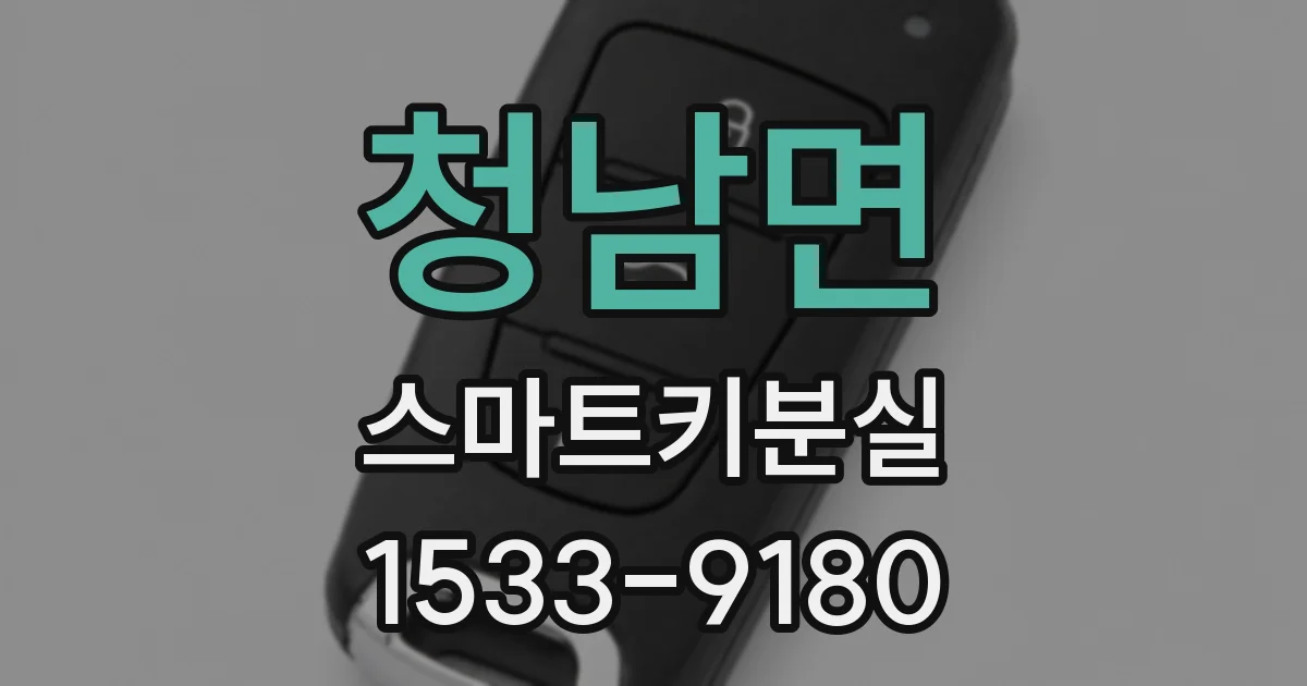 청남면 스마트키분실