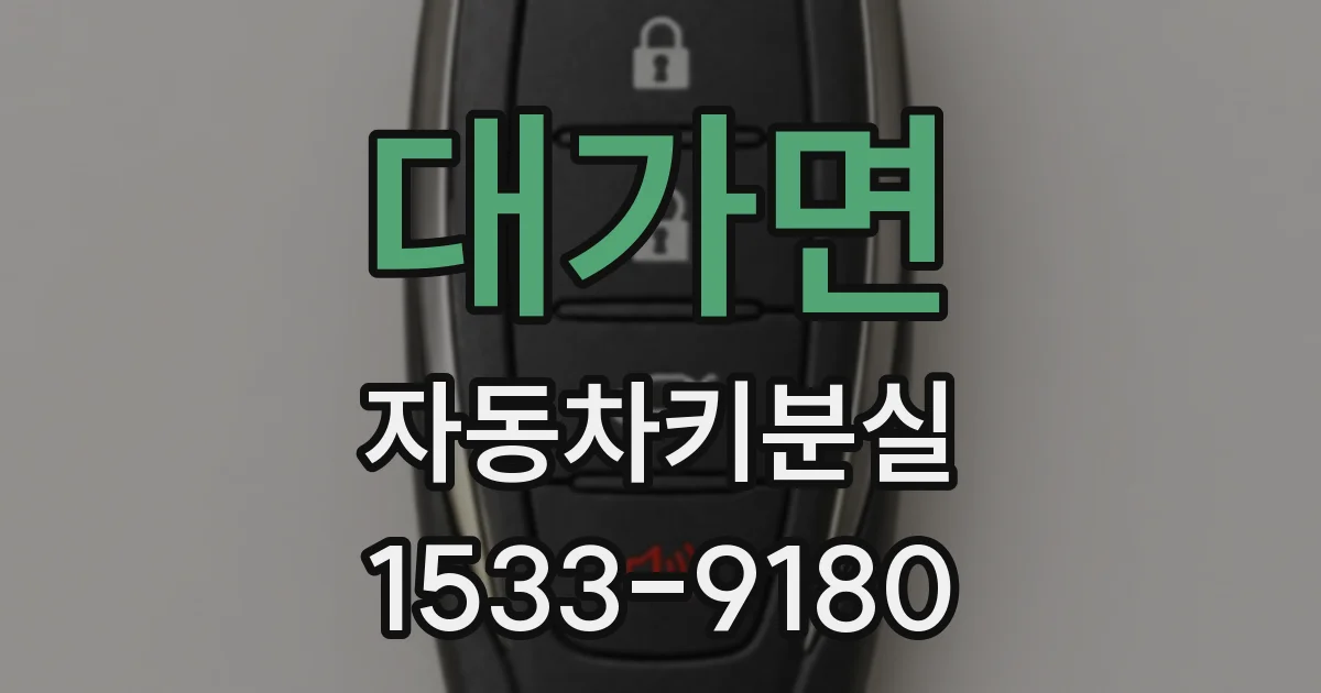 대가면 자동차키분실