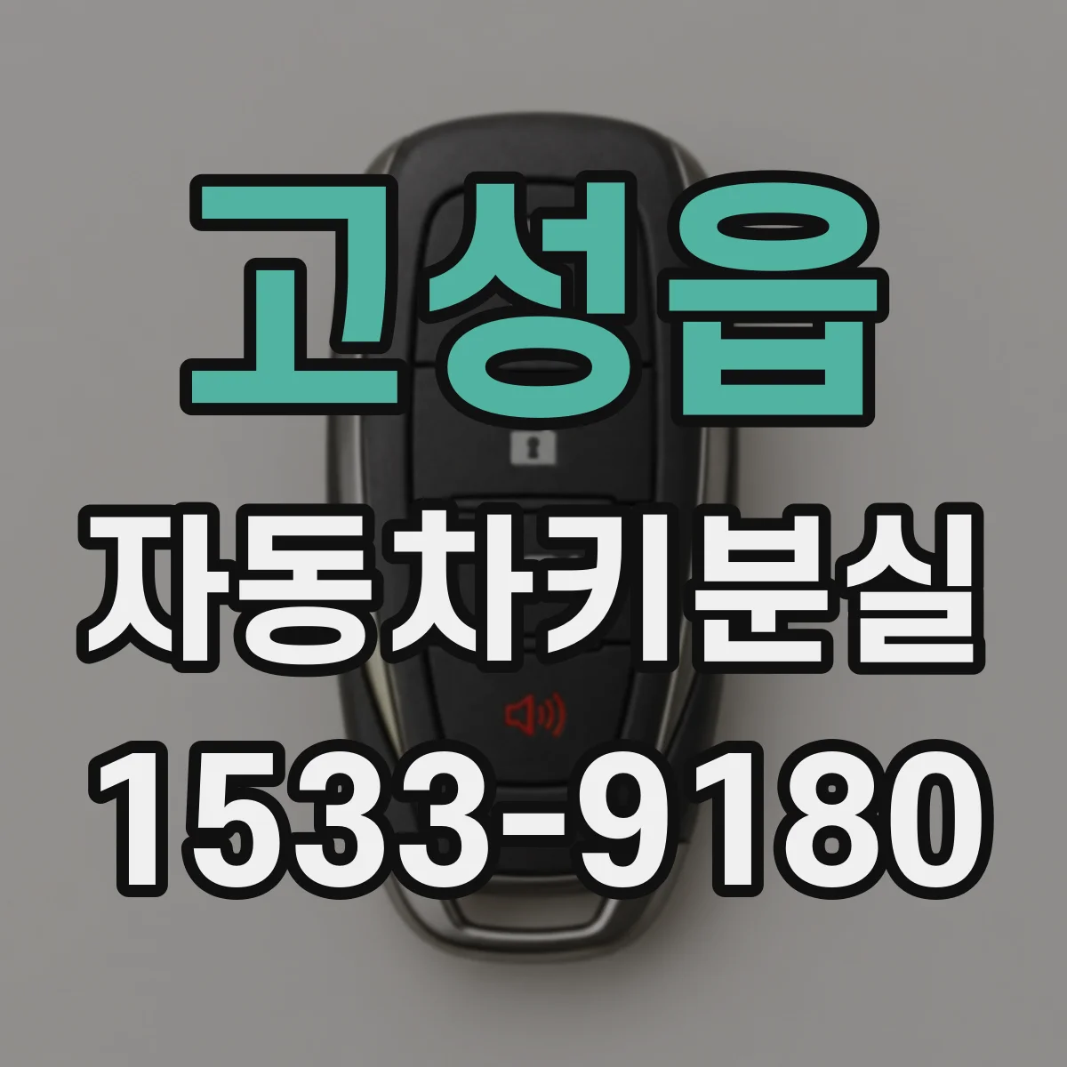고성읍 자동차키분실