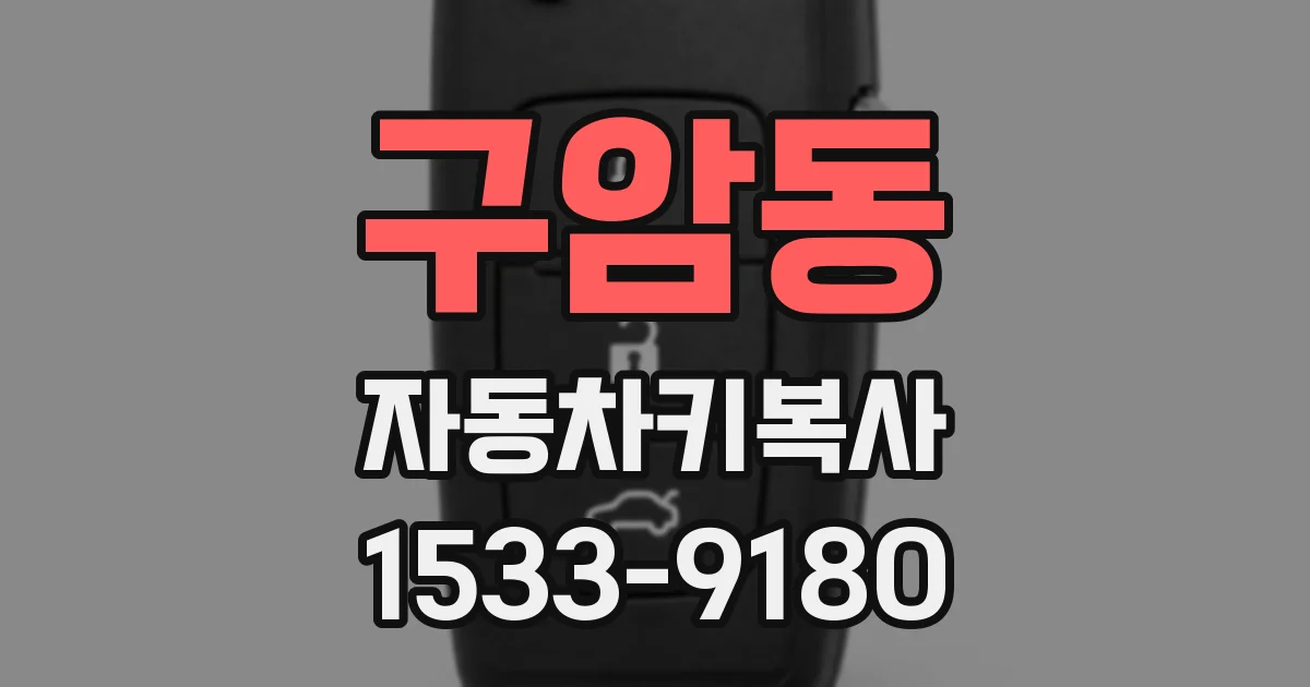 구암동 자동차키복사