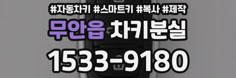무안읍 차키분실