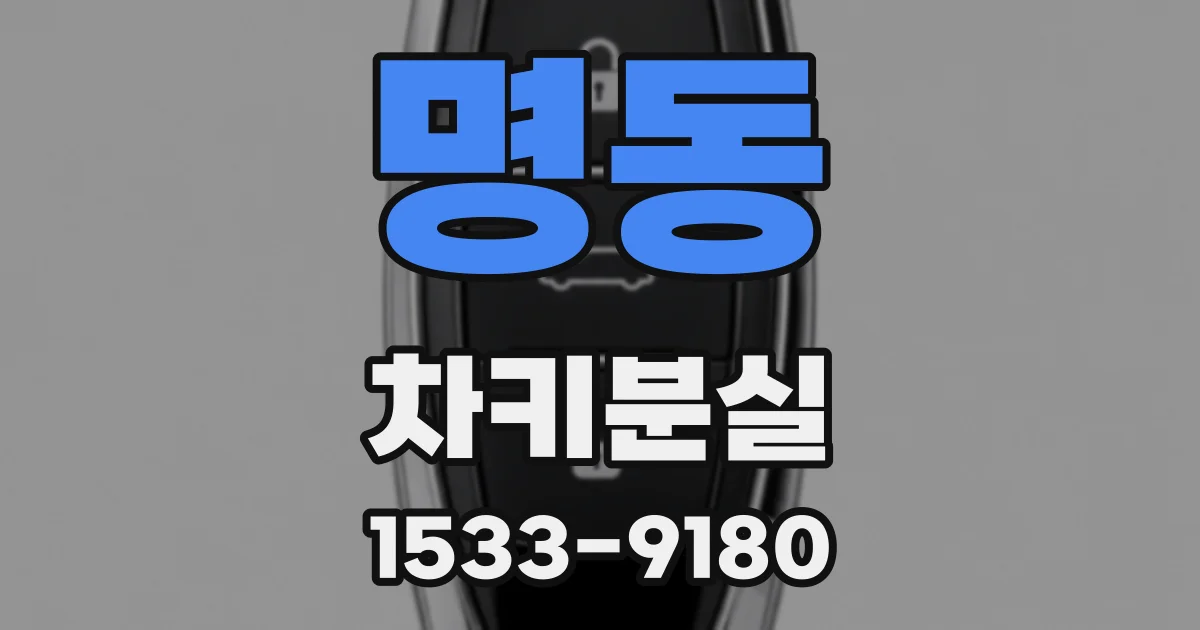 명동 차키분실