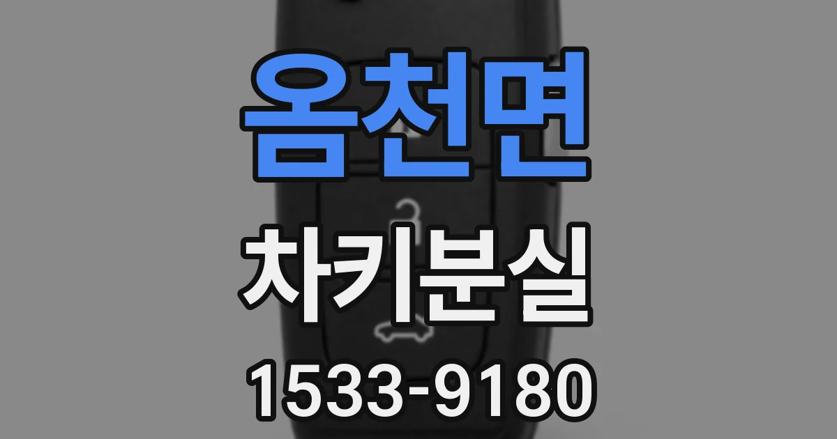 옴천면 차키분실