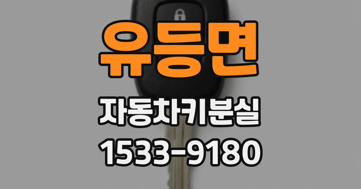 유등면 자동차키분실