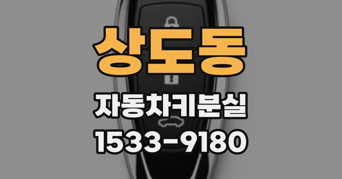 상도동 자동차키분실