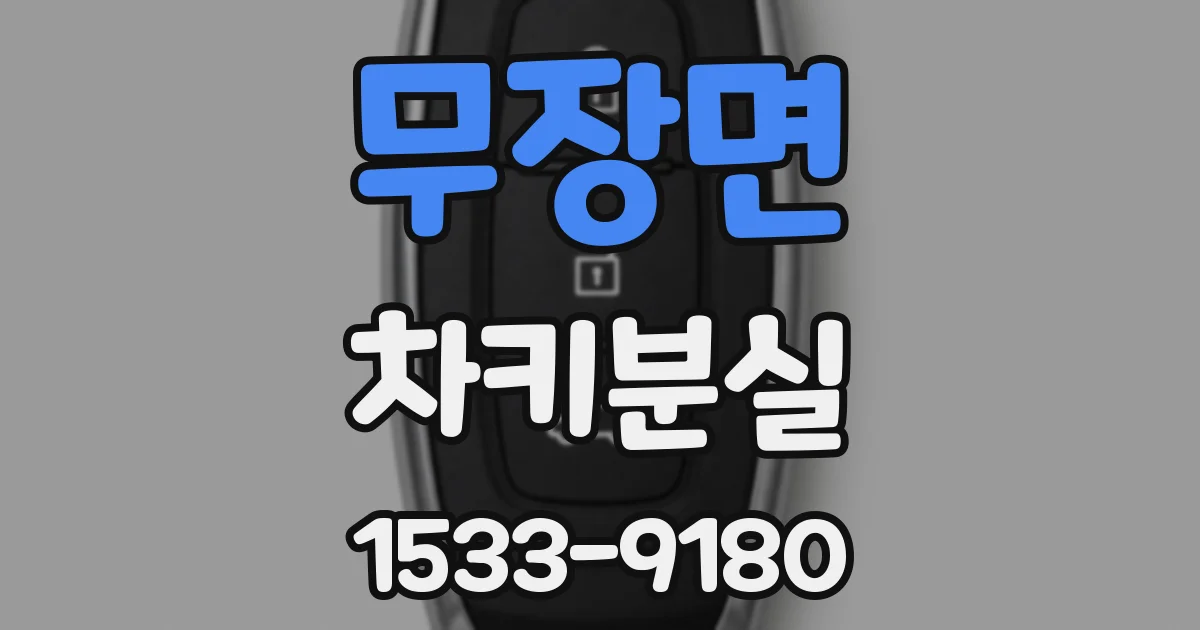 무장면 차키분실