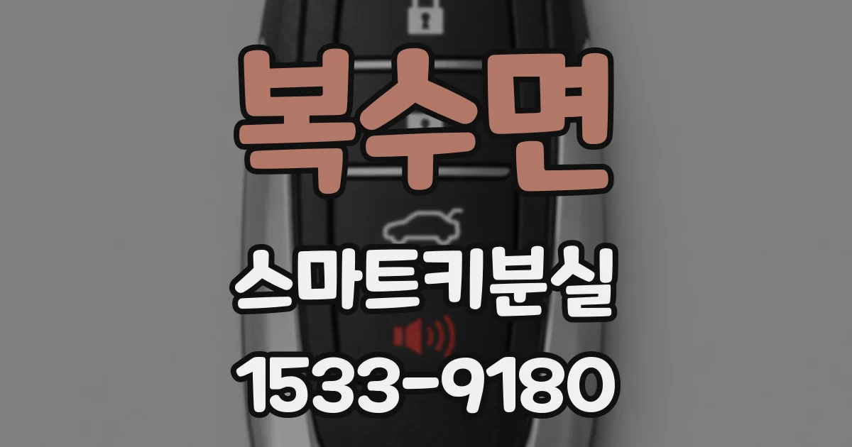 복수면 스마트키분실
