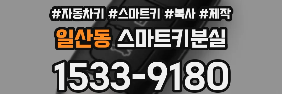 일산동 스마트키분실