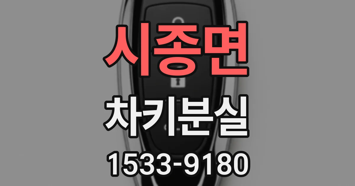 시종면 차키분실