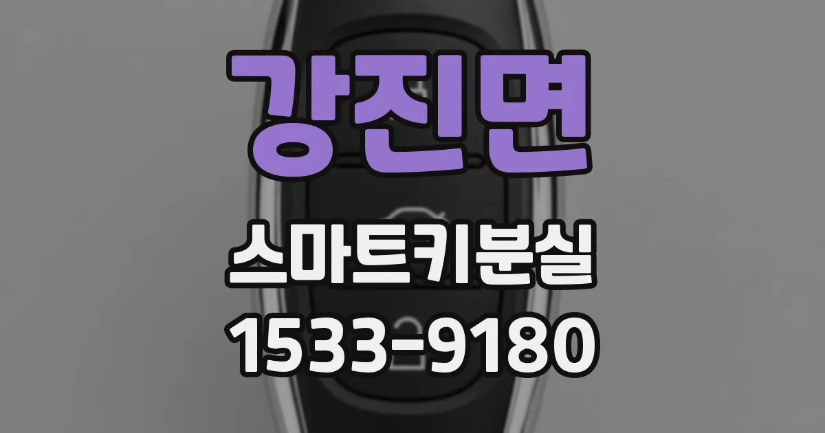 강진면 스마트키분실