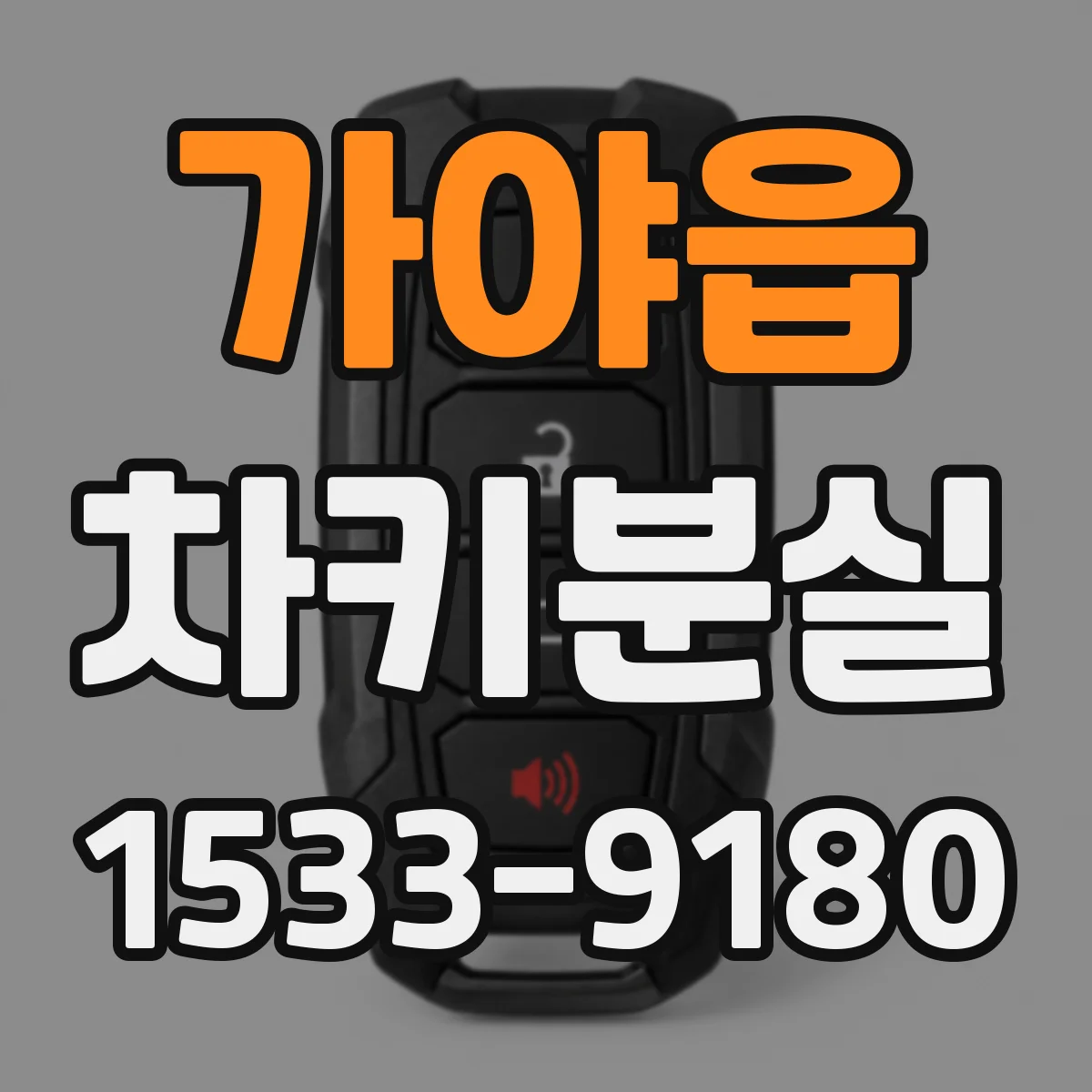 가야읍 차키분실