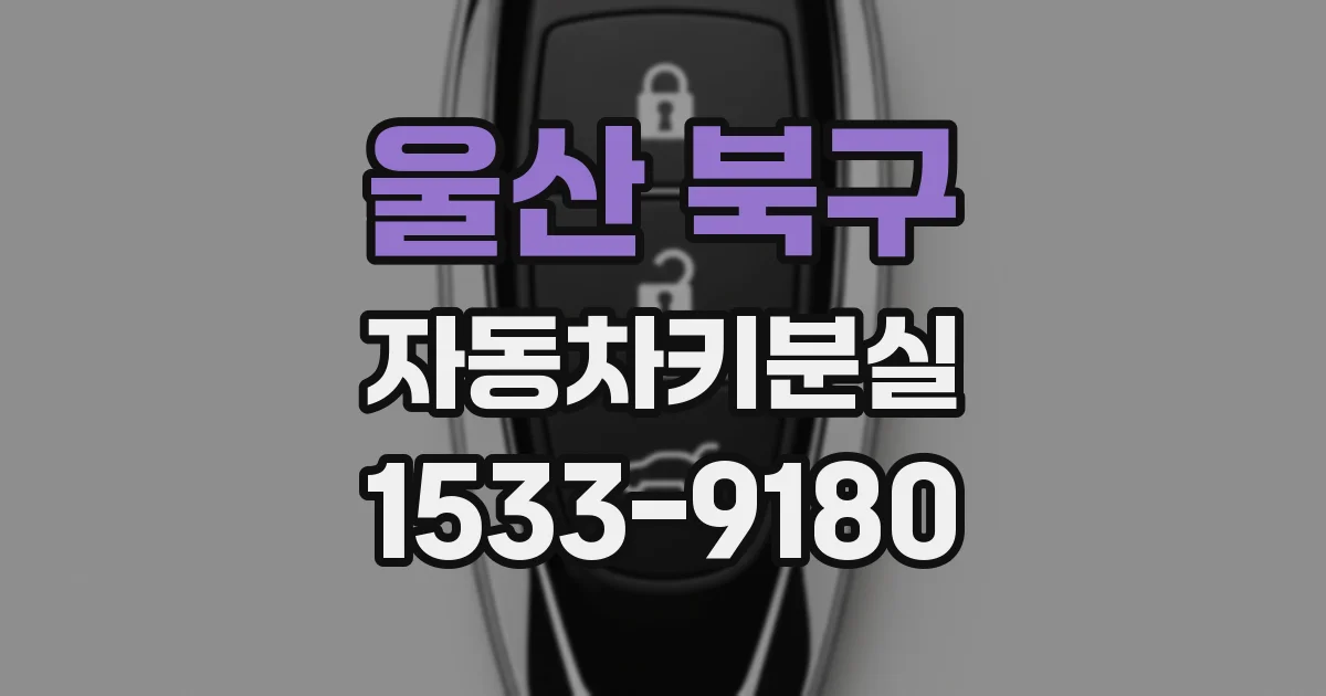 울산 북구 자동차키분실