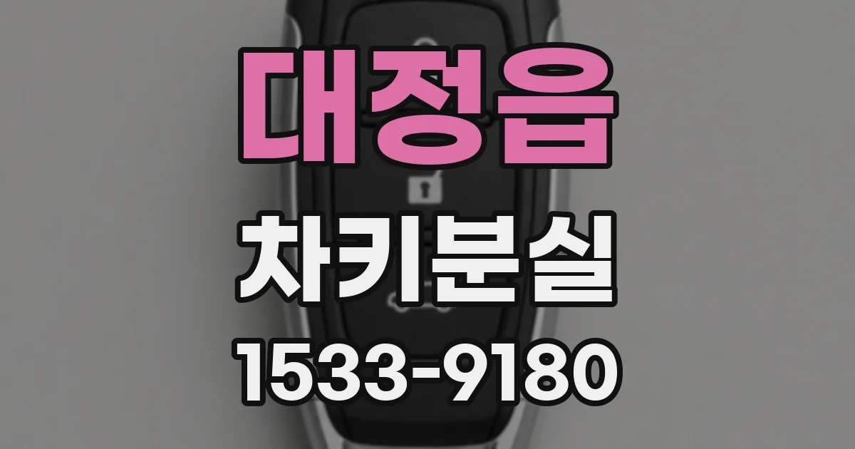 대정읍 차키분실