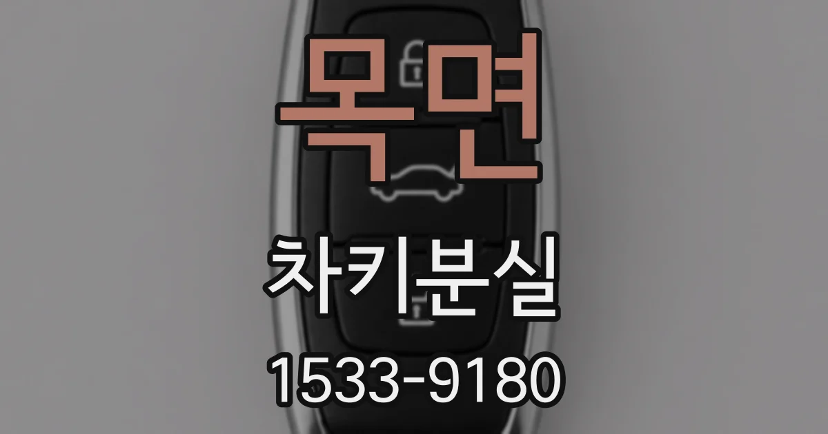 목면 차키분실