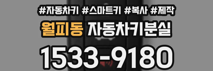 월피동 자동차키분실