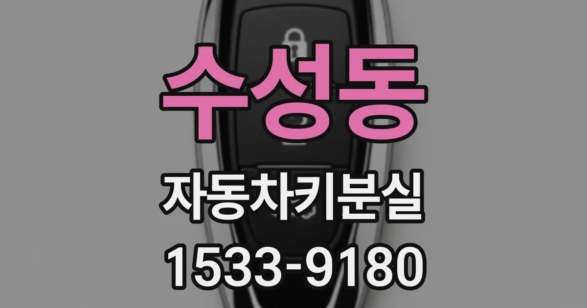 수성동 자동차키분실