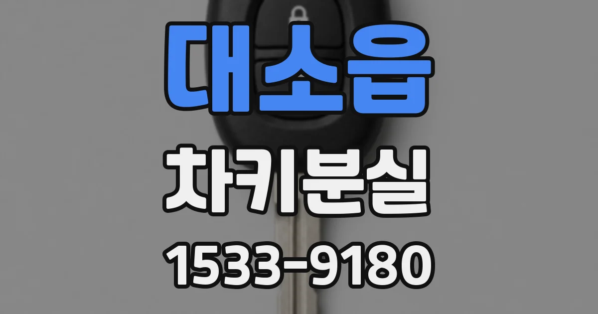 대소읍 차키분실