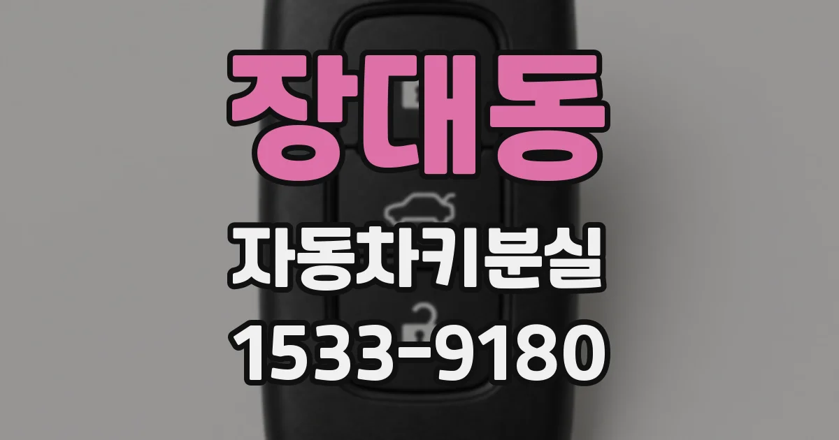 장대동 자동차키분실