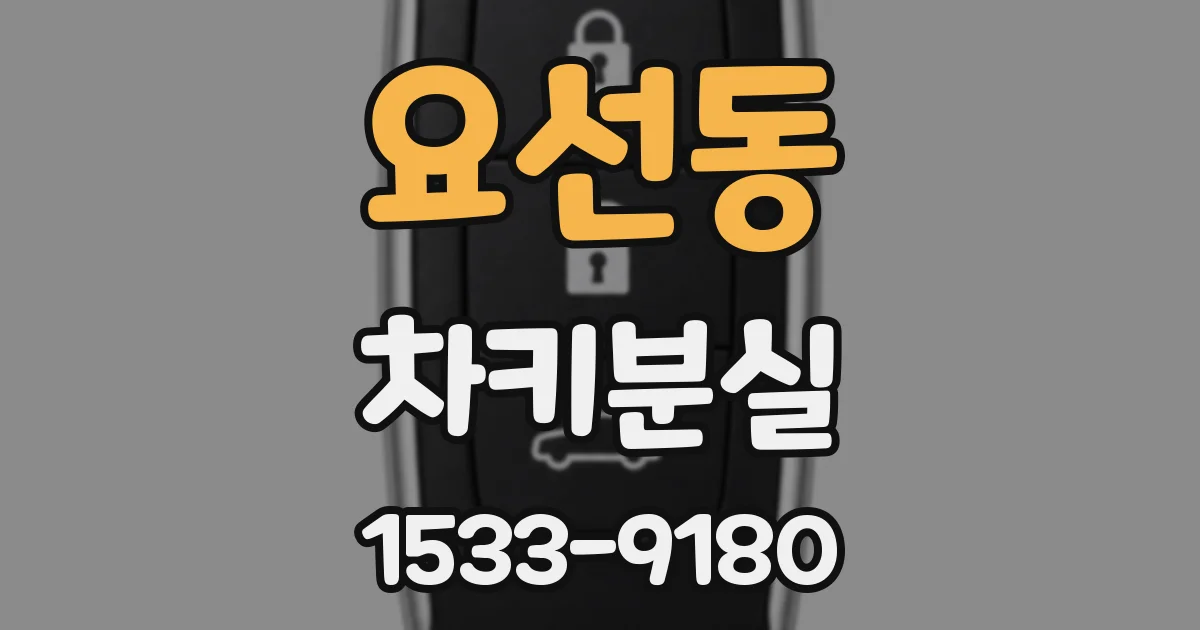 요선동 차키분실