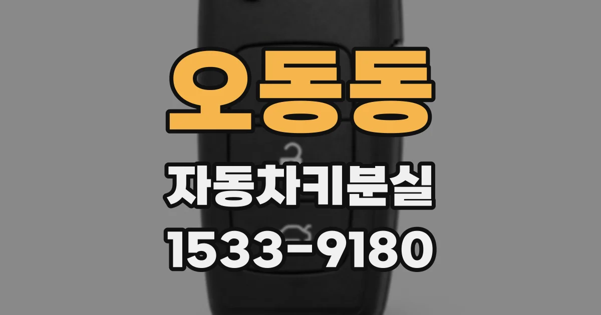 오동동 자동차키분실