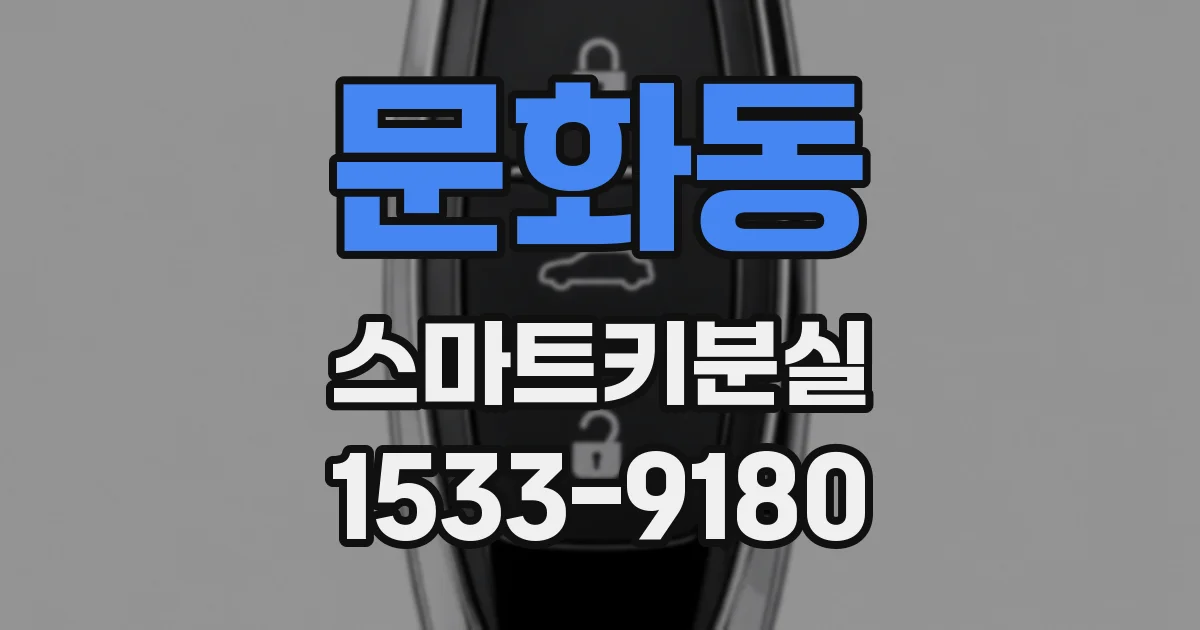 문화동 스마트키분실