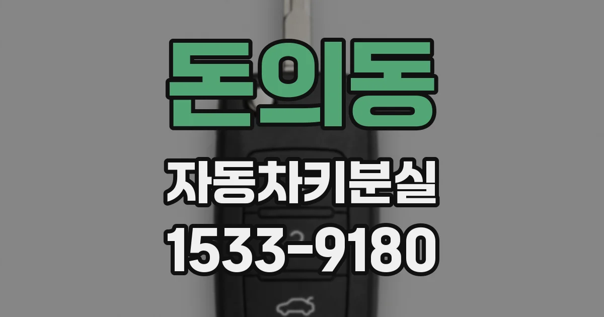 돈의동 자동차키분실
