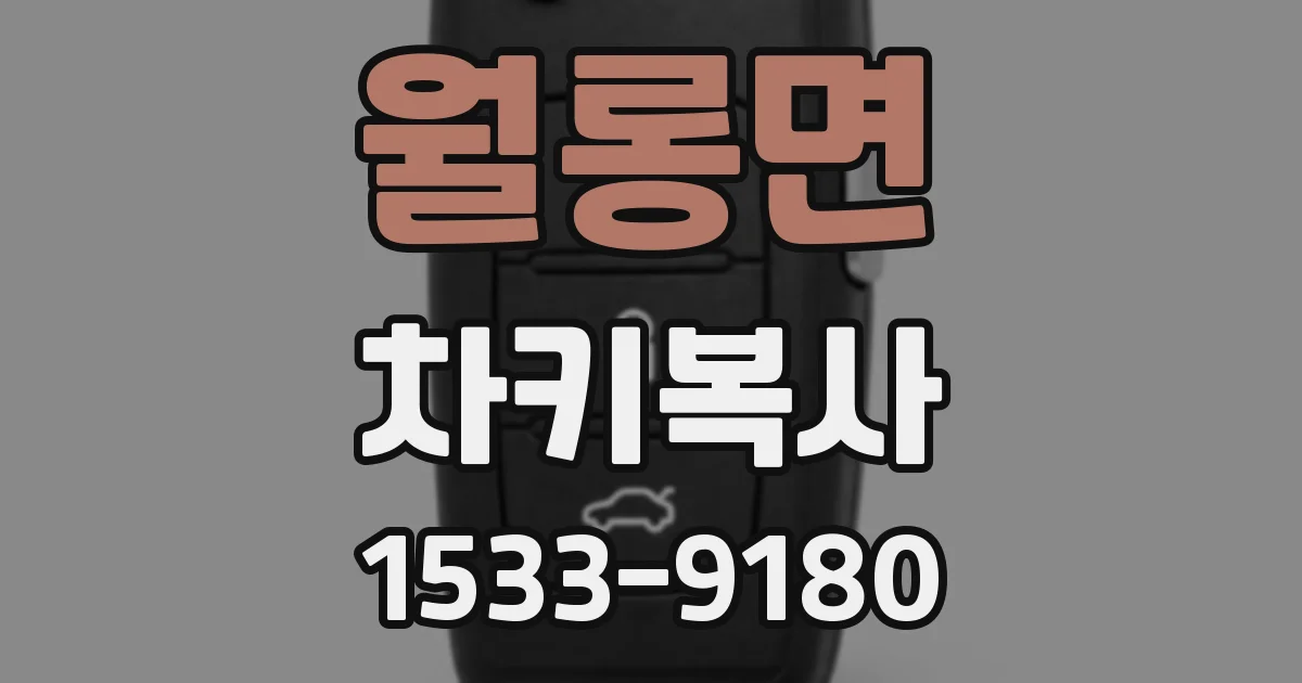 월롱면 차키복사