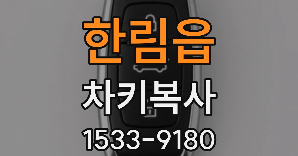 한림읍 차키복사