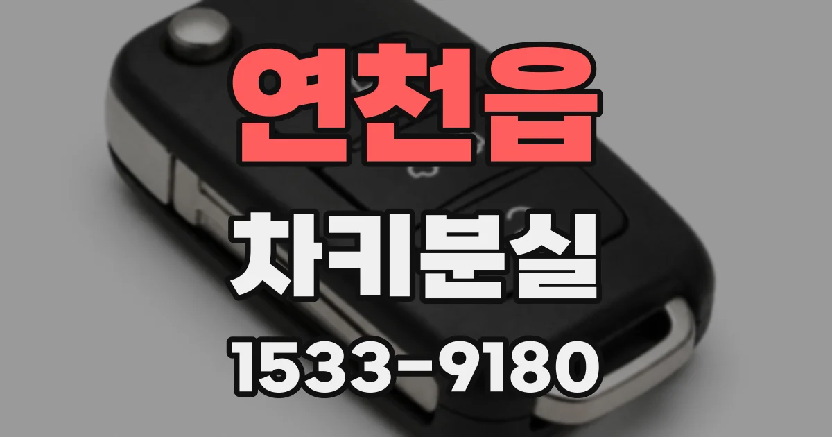 연천읍 차키분실