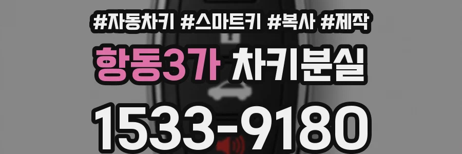항동3가 차키분실