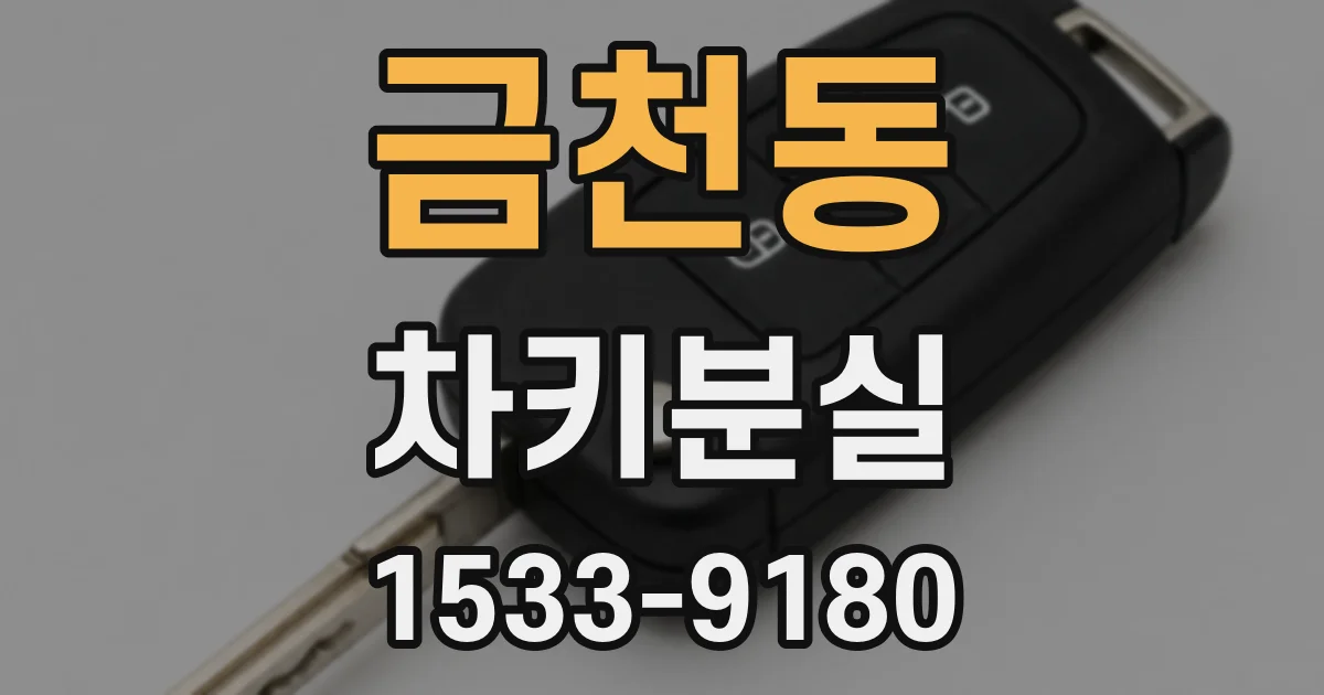 금천동 차키분실