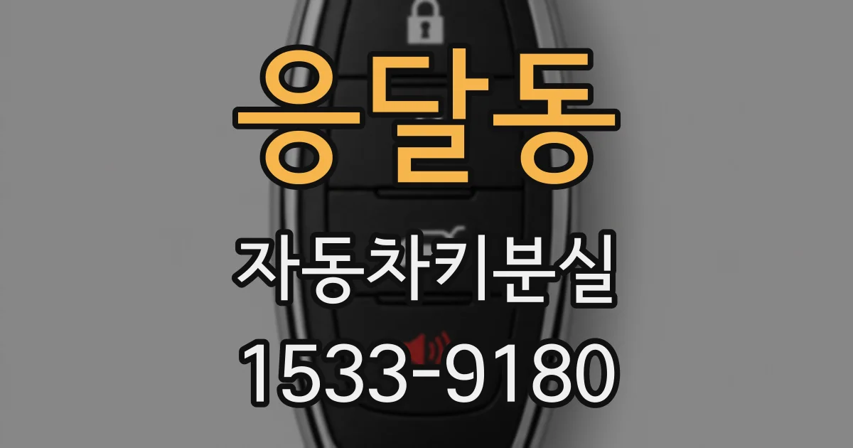 응달동 자동차키분실