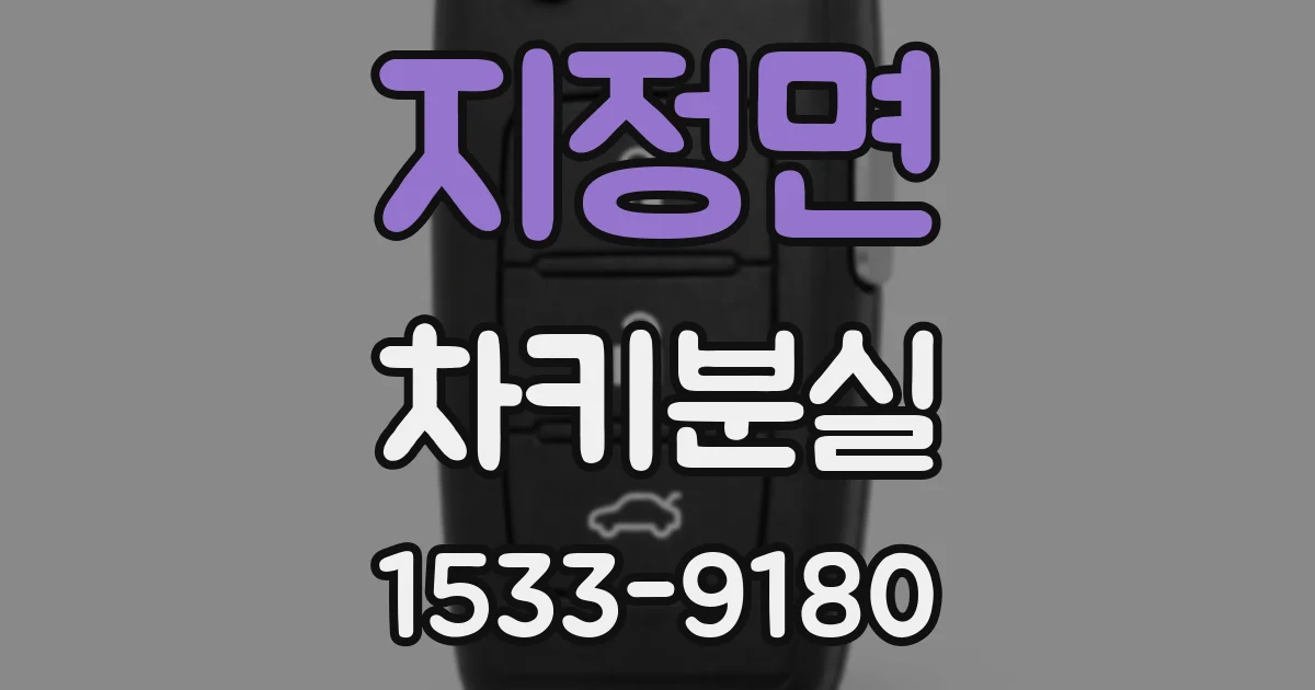 지정면 차키분실