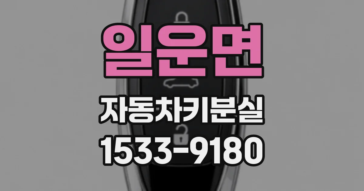 일운면 자동차키분실